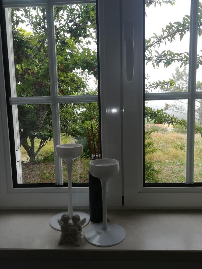 피게이라다포즈 Quinta Bogesi B&B 외부 사진